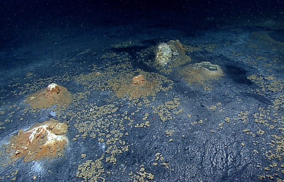 Small mounds around the exterior of a brine pool