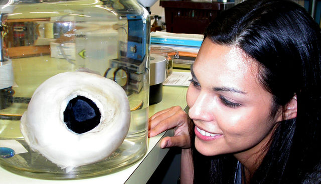 Woman staring at a giant squid eye in a jar
