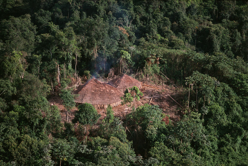 Aerial view of straw huts in the Amazon rainforest 