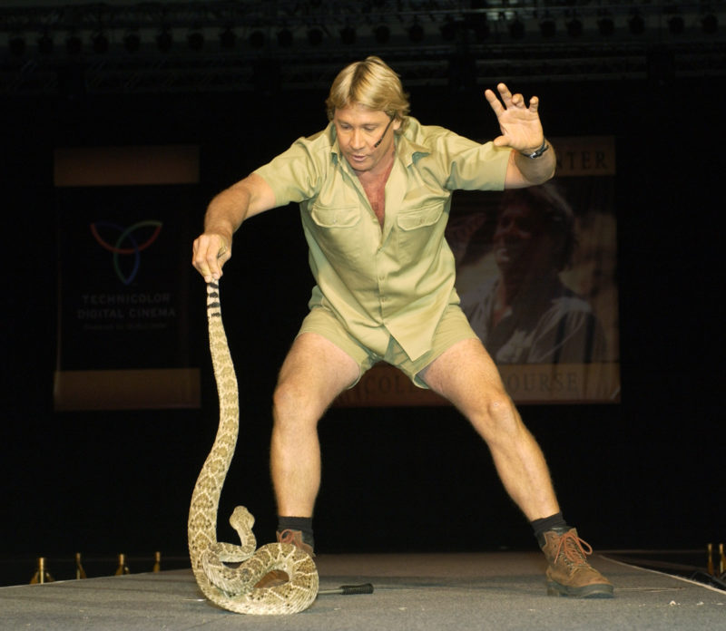 Steve Irwin holding the tail of a large snake