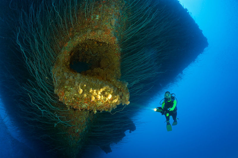 Diver swimming around the anchor hawse hole at the bow of the sunken USS Saratoga (CV-3)