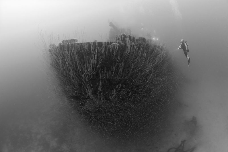 Diver swimming around the stern of the sunken USS Carlisle (APA-69)