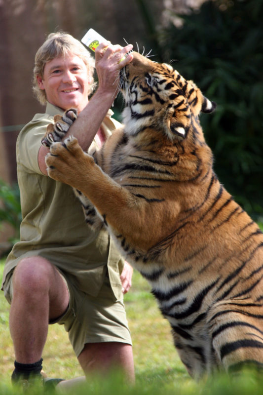 Steve Irwin bottle-feeding a tiger