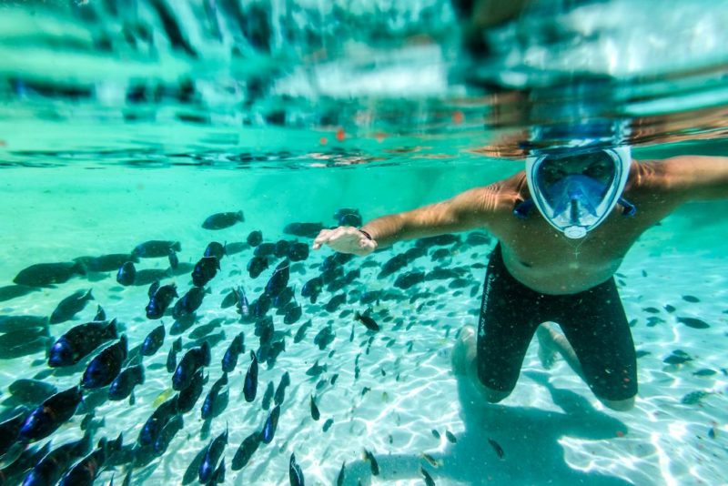 Man snorkeling in shallow water while a school of fish swim by