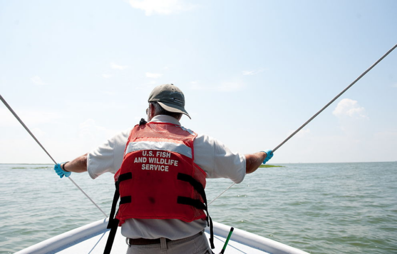 US Fish and Wildlife Service official aboard a boat