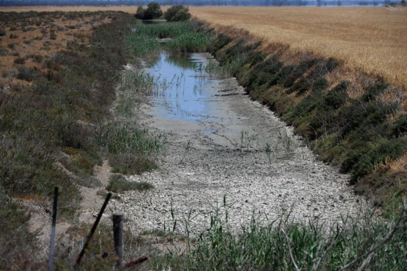 Dry irrigation ditch in Donana National Park