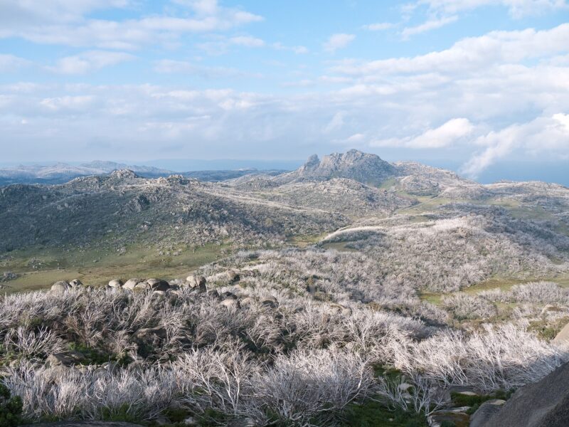 View of the Mount Buffalo plateau