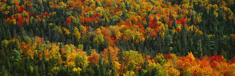 Aerial view of Porcupine Mountains Wilderness State Park