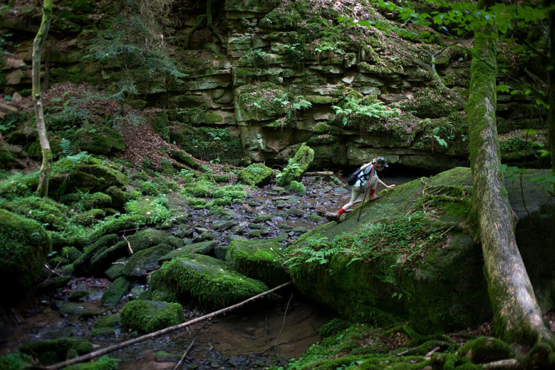 Person climbing over a rock covered in moss